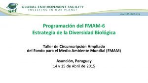 Programacin del FMAM6 Estrategia de la Diversidad Biolgica