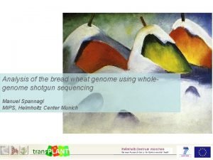 Analysis of the bread wheat genome using wholegenome