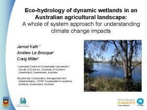 Ecohydrology of dynamic wetlands in an Australian agricultural