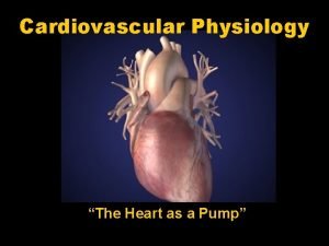 Heart as a pump physiology
