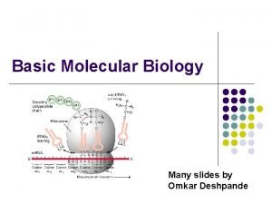 Basic Molecular Biology Many slides by Omkar Deshpande