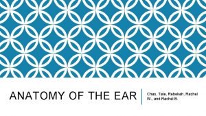 ANATOMY OF THE EAR Chas Tate Rebekah Rachel