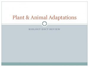 Structural adaptation examples