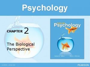 Psychology CHAPTER 2 The Biological Perspective Module 4