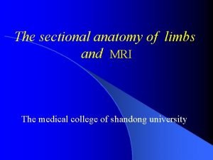The sectional anatomy of limbs and MRI The
