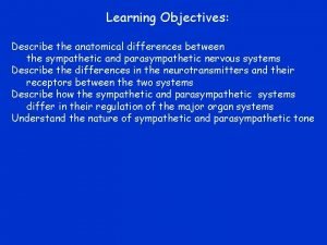 Learning Objectives Describe the anatomical differences between the