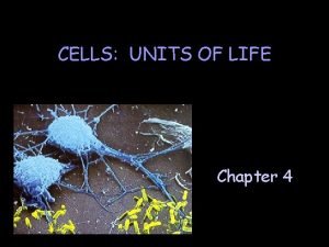 CELLS UNITS OF LIFE Chapter 4 Cells basic