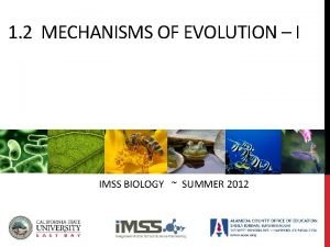 1 2 MECHANISMS OF EVOLUTION I IMSS BIOLOGY