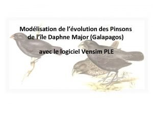 Modlisation de lvolution des Pinsons de lle Daphne