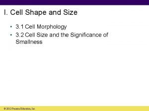 Cell shape and size