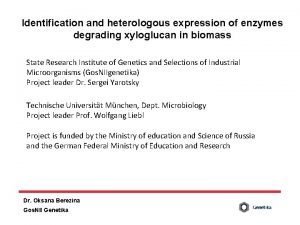 Identification and heterologous expression of enzymes degrading xyloglucan