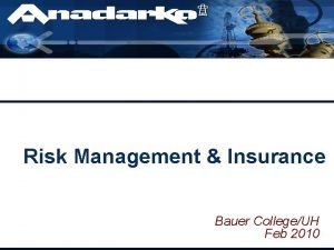 Risk Management Insurance Bauer CollegeUH Feb 2010 Agenda