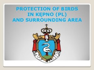 PROTECTION OF BIRDS IN KPNO PL AND SURROUNDING