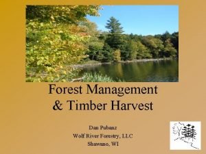 Timber contract template