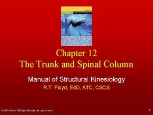 Chapter 12 The Trunk and Spinal Column Manual