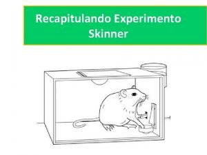 Recapitulando Experimento Skinner Uma caixa de Skinner tambm