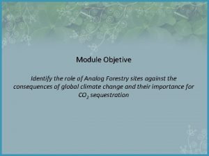 Module Objetive Identify the role of Analog Forestry