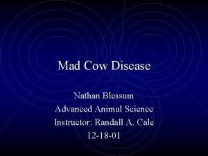 Mad Cow Disease Nathan Blessum Advanced Animal Science