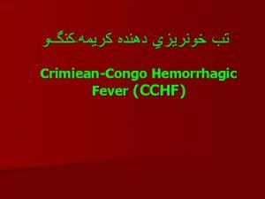 Flaviviridae dengue yellow fever Groupe TBE Viral Hemorrhagic