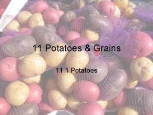 Chapter 11 potatoes and grains