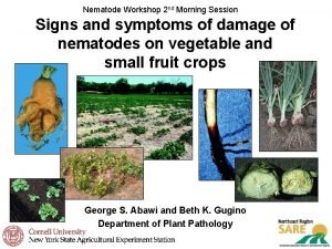 Nematode Workshop 2 nd Morning Session Signs and