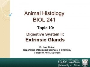 Animal Histology BIOL 241 Topic 10 Digestive System