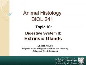 Digestive system histology