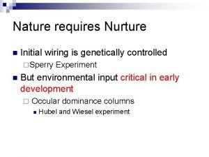 Nature requires Nurture n Initial wiring is genetically