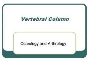 Vertebral Column Osteology and Arthrology Osteology l l