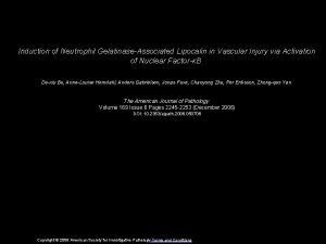 Induction of Neutrophil GelatinaseAssociated Lipocalin in Vascular Injury