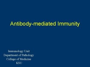 Antibodymediated Immunity Immunology Unit Department of Pathology College