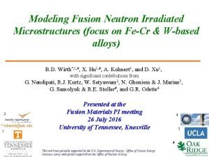 Modeling Fusion Neutron Irradiated Microstructures focus on FeCr