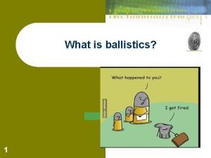 What is ballistic evidence
