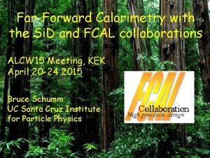 FarForward Calorimetry with the Si D and FCAL