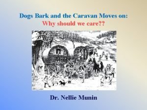Dogs bark caravan moves on