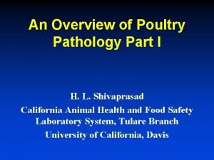 An Overview of Poultry Pathology Part I H