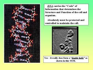 What is this called What is this called