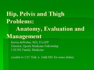 Hip Pelvis and Thigh Problems Anatomy Evaluation and