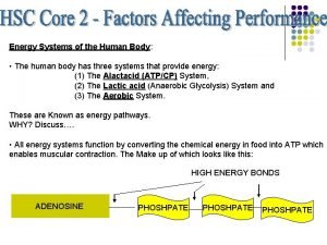 The energy systems in the human body are