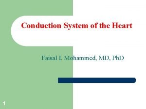 Conduction System of the Heart Faisal I Mohammed