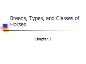 Breeds Types and Classes of Horses Chapter 3