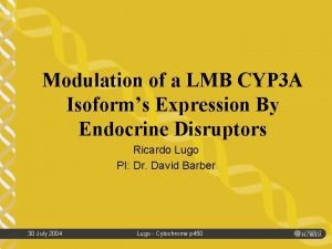 Modulation of a LMB CYP 3 A Isoforms