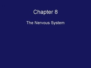 Chapter 8 the nervous system