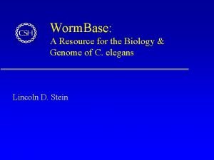 Worm base