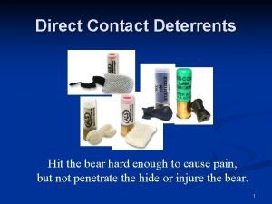 Direct Contact Deterrents Hit the bear hard enough