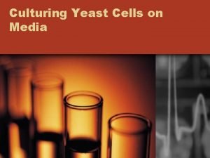 Culturing Yeast Cells on Media Pre Lab Definitions