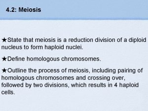 4 2 Meiosis State that meiosis is a
