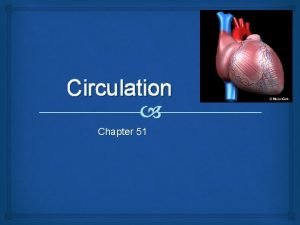 Cardiac cycle animation