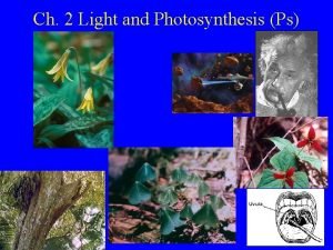 Ch 2 Light and Photosynthesis Ps Light Radiant