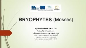 Bryophytes